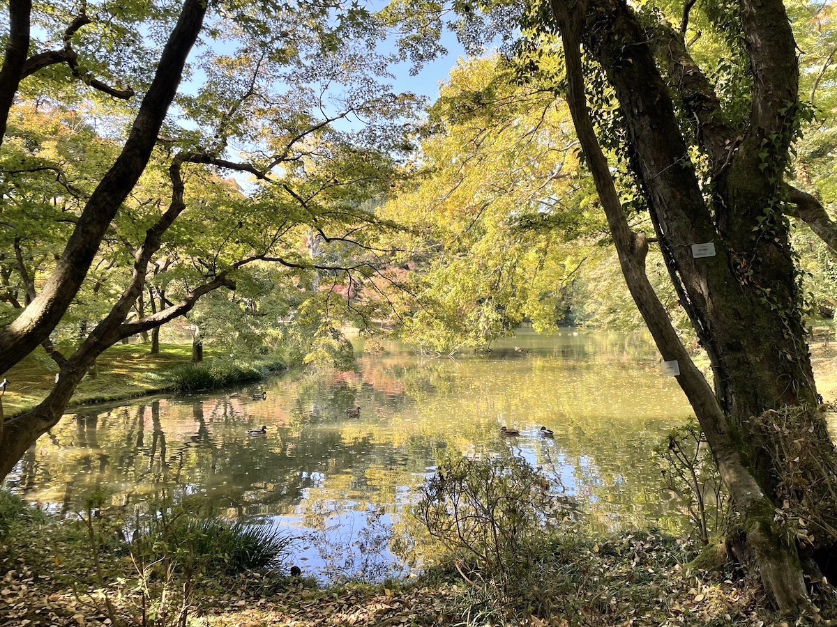 京大生のデート　京都府立植物園