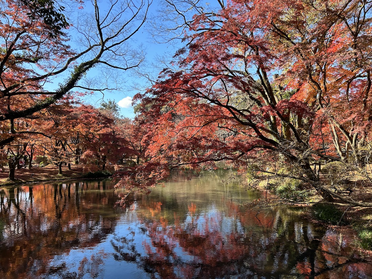 京大生のデート　京都府立植物園